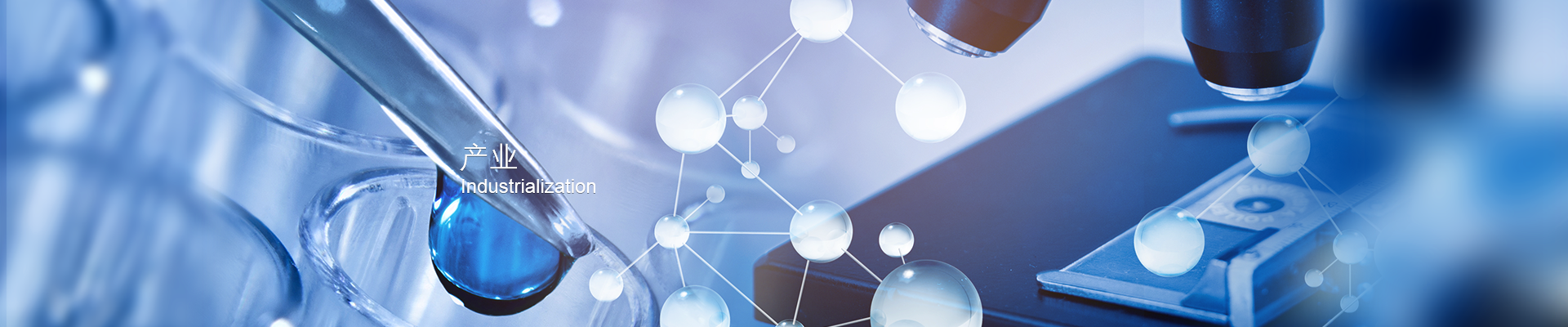 ��˹ά��˹9888(�й���)�ٷ���վ